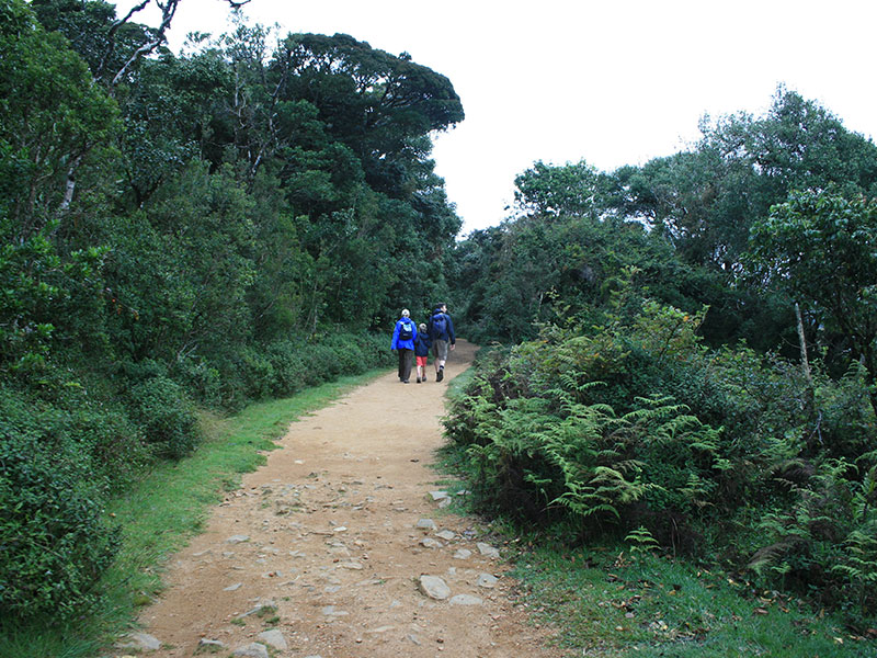 Trekking Tours in Sri Lanka - Walk from Nuwara Eliya to Ella - Ella Trekking tours - Trekking to Ella - Walking Trips in Sri Lanka - Nuwara Eliya Trekking Trips