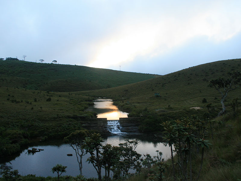 Trekking Tours in Sri Lanka - Walk from Nuwara Eliya to Ella - Ella Trekking tours - Trekking to Ella - Walking Trips in Sri Lanka - Nuwara Eliya Trekking Trips
