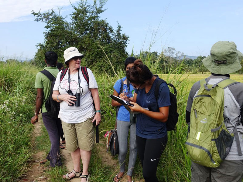 Wild Elephant Observation in Sri Lanka - Wasgamuwa National park- Conservation Expedition in Wasgamuwa - Elephant Watching in wasgamuwa National Park - Wasgamuwa, Sri Lanka