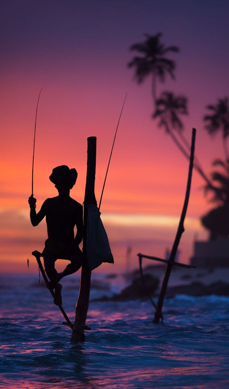 Galle fort day tours - Day tours to Galle from Colombo - Top 10 Galle Day Trips & Excursions - Galle Day Tour with Turtle Hatchery - Visit Sea Turtle Hatchery Centre Mahamodara trip to Galle