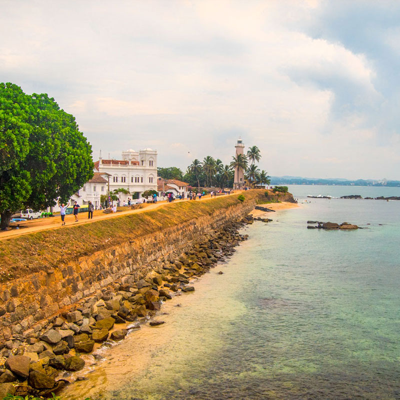 Galle fort day tours - Day tours to Galle from Colombo - Top 10 Galle Day Trips & Excursions - Galle Day Tour with Turtle Hatchery - Visit Sea Turtle Hatchery Centre Mahamodara trip to Galle