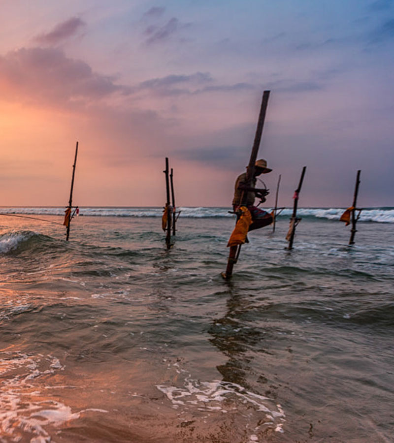 Galle fort day tours - Day tours to Galle from Colombo - Top 10 Galle Day Trips & Excursions - Galle Day Tour with Turtle Hatchery - Visit Sea Turtle Hatchery Centre Mahamodara trip to Galle