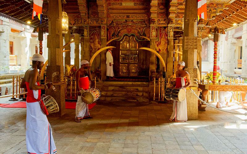 Day Tour of Kandy in Sri Lanka - Kandy Day Tours and Activities - Day Tours to Pinnawala Elephant Orphanage - Day Tours in Kandy - Day Tours to Kandy - Day Tours in Kandy - Kandy Day Tours from Colombo - Tours to Kandy from Colombo -  Day Trips to kandy from Colombo - Day Trips to Kandy from Colombo - Kandy Day Trips - Pinnawala Day Trips - Day Trips to Pinnawala Elephant Orphanage - Day Trips to Pinnawala from Colombo - Pinnawala Elephant Orphanage Day Trips - Day Tours to Pinnawala - Elephant Orphanage Day Tours - Peradeniya Botanical Garden Day Tours - Day Tours to Peradeniya Botanical Garden - Peradeniya Botanical Garden Day Tours