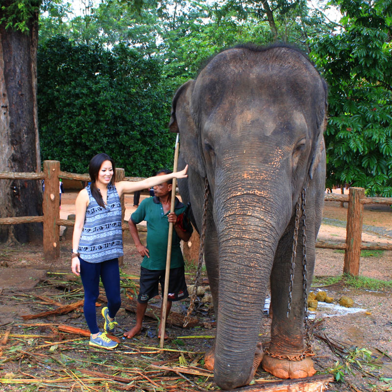 Day Tour of Kandy in Sri Lanka - Kandy Day Tours and Activities - Day Tours to Pinnawala Elephant Orphanage - Day Tours in Kandy - Day Tours to Kandy - Day Tours in Kandy - Kandy Day Tours from Colombo - Tours to Kandy from Colombo -  Day Trips to kandy from Colombo - Day Trips to Kandy from Colombo - Kandy Day Trips - Pinnawala Day Trips - Day Trips to Pinnawala Elephant Orphanage - Day Trips to Pinnawala from Colombo - Pinnawala Elephant Orphanage Day Trips - Day Tours to Pinnawala - Elephant Orphanage Day Tours - Peradeniya Botanical Garden Day Tours - Day Tours to Peradeniya Botanical Garden - Peradeniya Botanical Garden Day Tours