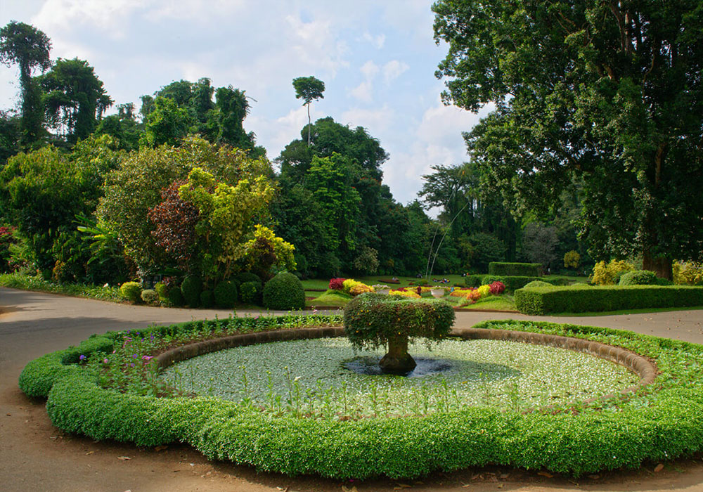 Day Tour of Kandy in Sri Lanka - Kandy Day Tours and Activities - Day Tours to Pinnawala Elephant Orphanage - Day Tours in Kandy - Day Tours to Kandy - Day Tours in Kandy - Kandy Day Tours from Colombo - Tours to Kandy from Colombo -  Day Trips to kandy from Colombo - Day Trips to Kandy from Colombo - Kandy Day Trips - Pinnawala Day Trips - Day Trips to Pinnawala Elephant Orphanage - Day Trips to Pinnawala from Colombo - Pinnawala Elephant Orphanage Day Trips - Day Tours to Pinnawala - Elephant Orphanage Day Tours - Peradeniya Botanical Garden Day Tours - Day Tours to Peradeniya Botanical Garden - Peradeniya Botanical Garden Day Tours