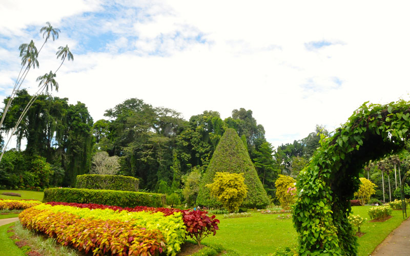 Day Tour of Kandy in Sri Lanka - Kandy Day Tours and Activities - Day Tours to Pinnawala Elephant Orphanage - Day Tours in Kandy - Day Tours to Kandy - Day Tours in Kandy - Kandy Day Tours from Colombo - Tours to Kandy from Colombo -  Day Trips to kandy from Colombo - Day Trips to Kandy from Colombo - Kandy Day Trips - Pinnawala Day Trips - Day Trips to Pinnawala Elephant Orphanage - Day Trips to Pinnawala from Colombo - Pinnawala Elephant Orphanage Day Trips - Day Tours to Pinnawala - Elephant Orphanage Day Tours - Peradeniya Botanical Garden Day Tours - Day Tours to Peradeniya Botanical Garden - Peradeniya Botanical Garden Day Tours