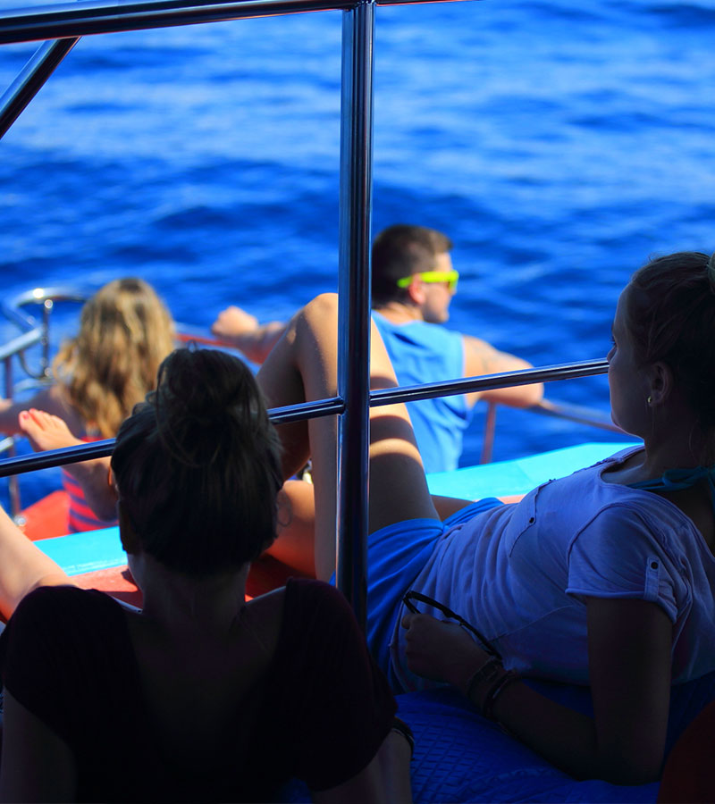 Whale watching Day Tours to Mirissa, Mirissa Whale Watching Day Tours, Day Tours to Mirissa Whale Watching, Mirissa Whale Watching Day Tours from Colombo, Whale Watching Tours in Mirissa, Mirissa Whale Watching Tours, Day Trips to Mirissa for Whale Watching, Mirissa Whale Watching Day Trips, Whale Watching Day trips from Colombo to Mirissa