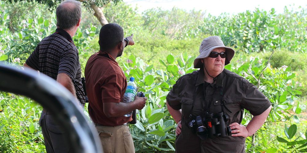 Yala Safari Tours - Wildlife Safaris in Yala - Wildlife Safari Tours in Yala National Park - Yala National park in Sri Lanka - Sri Lanka National parks - Jeep Tours in yala - Yala Safari Game Drives - Game Drives in Yala, Sri Lanka - Safari jeep Tours in Yala - Visit Yala National Park