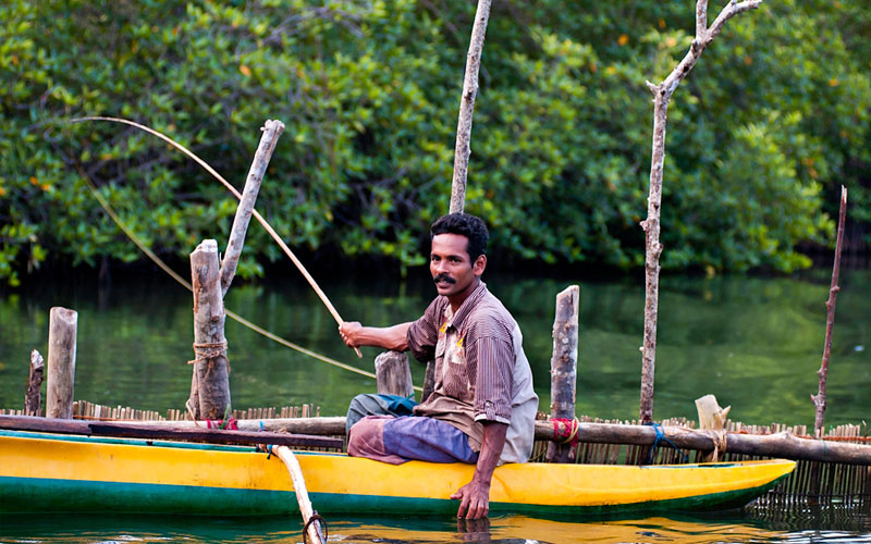 Boart Trips in Sri Lanka - Boart Trips in Madu River - Madu River Boat Trips in Sri Lanka - Boat trips in sri Lanka - Galle Madu boat Trip
