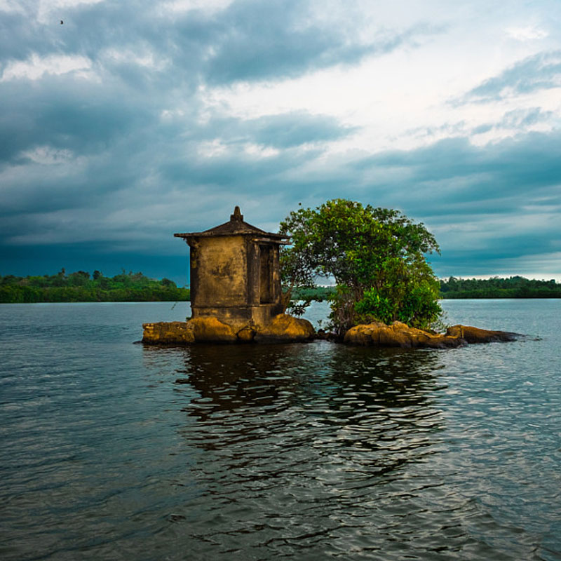 Boart Trips in Sri Lanka - Boart Trips in Madu River - Madu River Boat Trips in Sri Lanka - Boat trips in sri Lanka - Galle Madu boat Trip