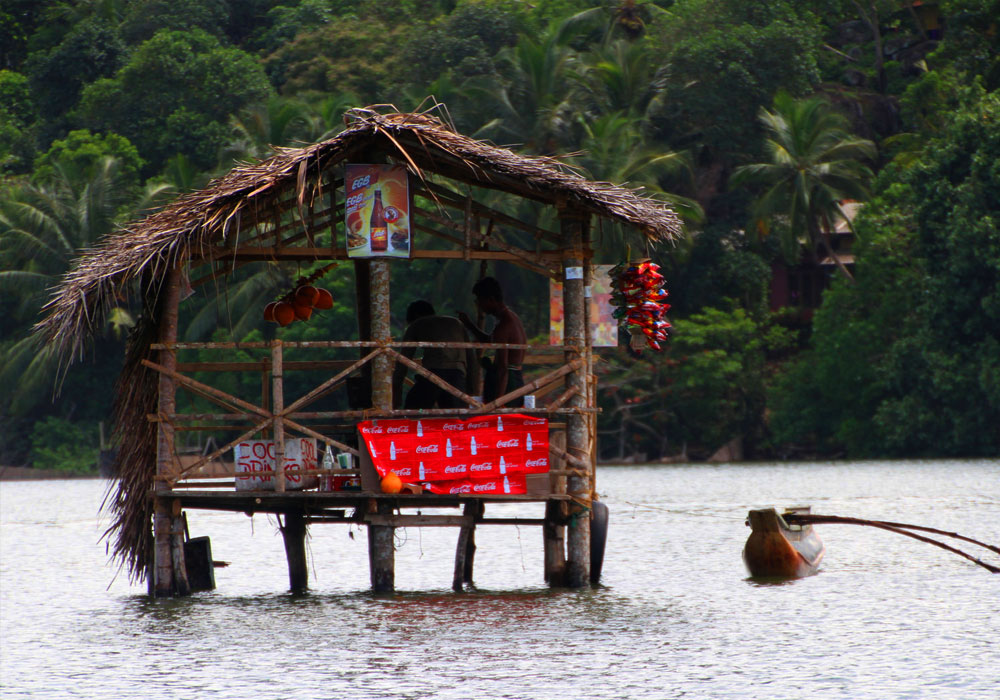 Boart Trips in Sri Lanka - Boart Trips in Madu River - Madu River Boat Trips in Sri Lanka - Boat trips in sri Lanka - Galle Madu boat Trip