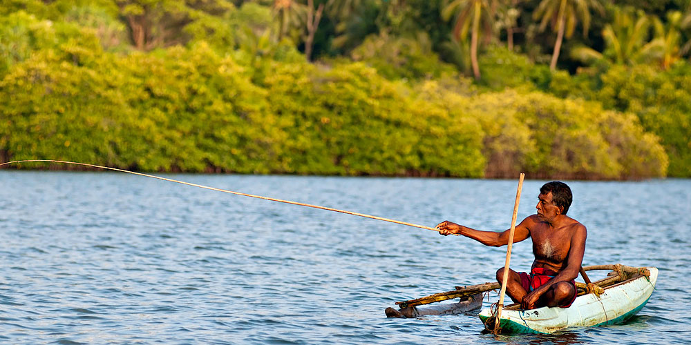 Boart Trips in Sri Lanka - Boart Trips in Madu River - Madu River Boat Trips in Sri Lanka - Boat trips in sri Lanka - Galle Madu boat Trip