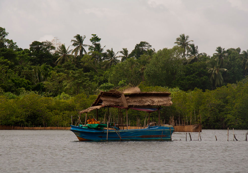 Boart Trips in Sri Lanka - Boart Trips in Madu River - Madu River Boat Trips in Sri Lanka - Boat trips in sri Lanka - Galle Madu boat Trip
