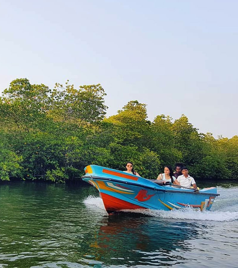 Boart Trips in Sri Lanka - Boart Trips in Madu River - Madu River Boat Trips in Sri Lanka - Boat trips in sri Lanka - Galle Madu boat Trip