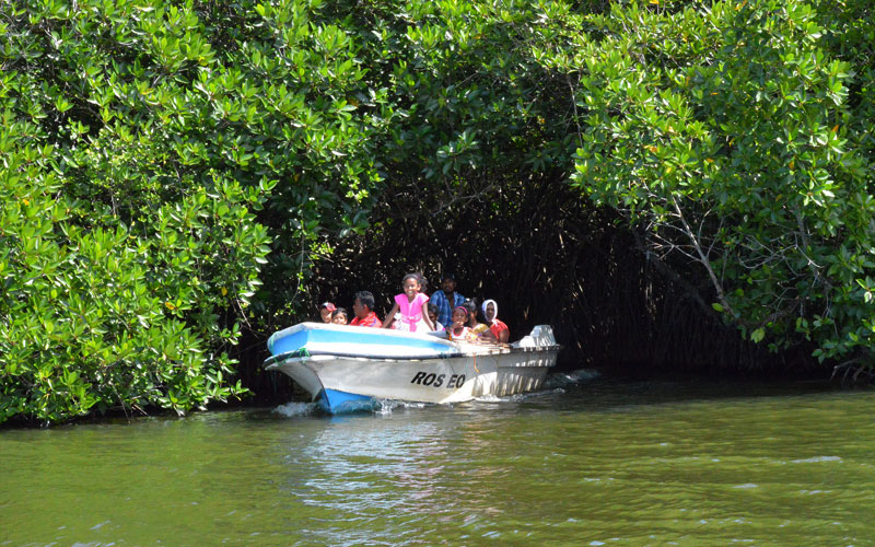 Boart Trips in Sri Lanka - Boart Trips in Madu River - Madu River Boat Trips in Sri Lanka - Boat trips in sri Lanka - Galle Madu boat Trip
