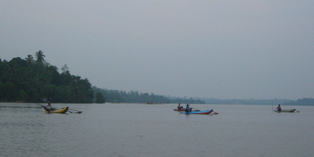 Boart Trips in Sri Lanka - Boart Trips in Madu River - Madu River Boat Trips in Sri Lanka - Boat trips in sri Lanka - Galle Madu boat Trip