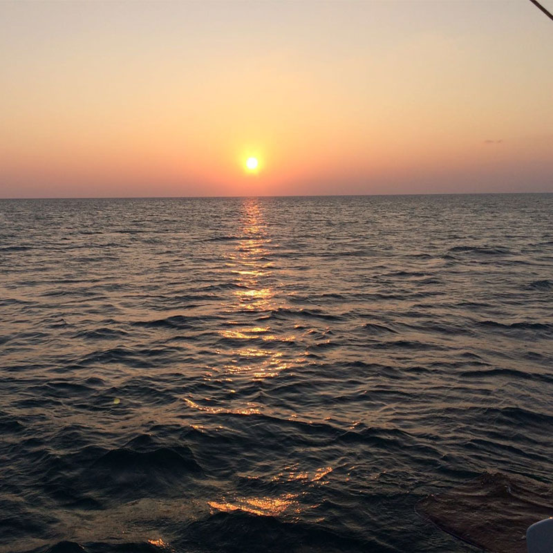 Luxury Cruise Yachts Sunset Cruises  in Sri Lanka - Cruise Tours in Sri Lanka - Luxury Yachts Sunset Trips in Sri Lanka - Sailing trips in Trincomalee - Trincomalee catamaran trips - Catamaran Trips in Trincomalee - Sri Lanka sailing tours