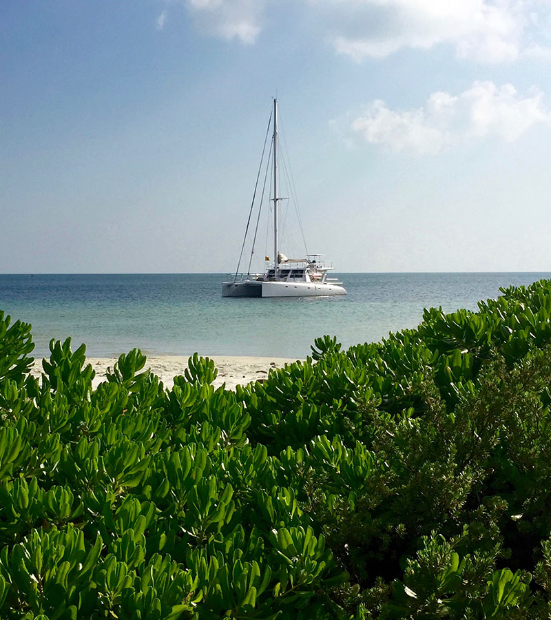Luxury Cruise Yachts Sunset Cruises  in Sri Lanka - Cruise Tours in Sri Lanka - Luxury Yachts Sunset Trips in Sri Lanka - Sailing trips in Trincomalee - Trincomalee catamaran trips - Catamaran Trips in Trincomalee - Sri Lanka sailing tours