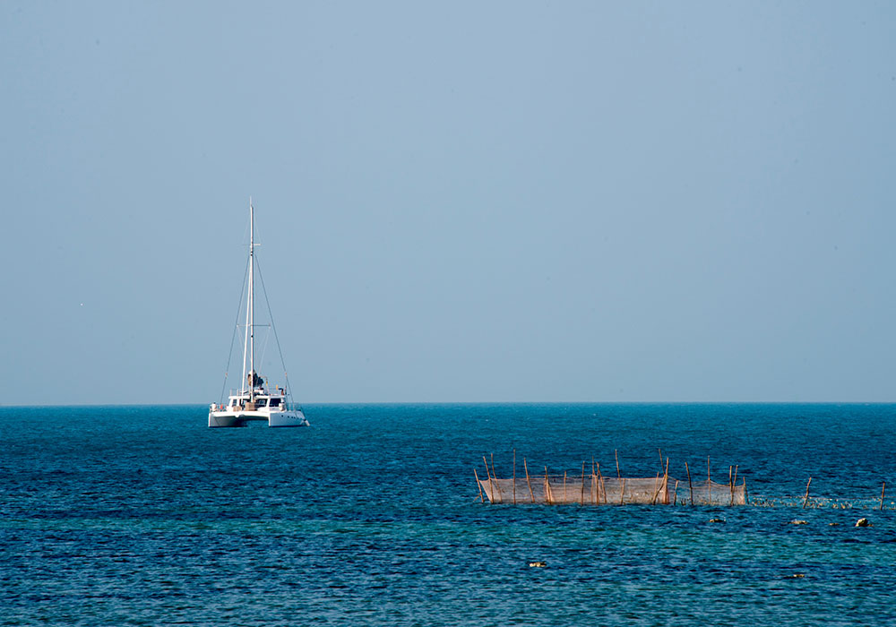 Luxury Cruise Yachts Sunset Cruises  in Sri Lanka - Cruise Tours in Sri Lanka - Luxury Yachts Sunset Trips in Sri Lanka - Sailing trips in Trincomalee - Trincomalee catamaran trips - Catamaran Trips in Trincomalee - Sri Lanka sailing tours