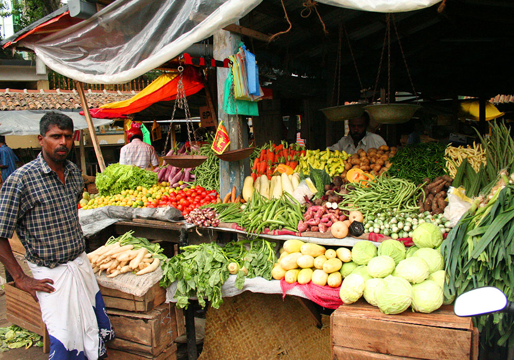 Sri Lanka cooking demonstration, Sri Lanka food tours, Learn how to cook a Sri Lankan meal, Sri Lanka Cooking Lesson Trip in Galle, Sri Lanka food and cooking demontration in Galle, Market tours in Galle