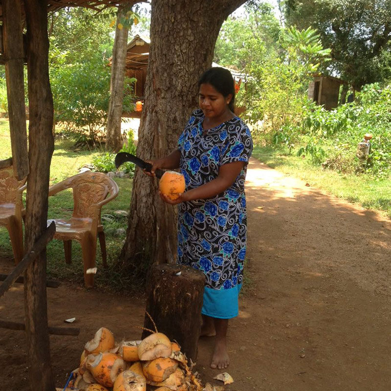 Cycling in Sigiriya, Cycling in Sri Lanka, Tours in Sri Lanka, Cycling Experience Sri Lanka, Cycle Tours Sri Lanka, Cycle Tours Sigiriya, Cycling Tour in Sri Lanka, Cycling Experience
