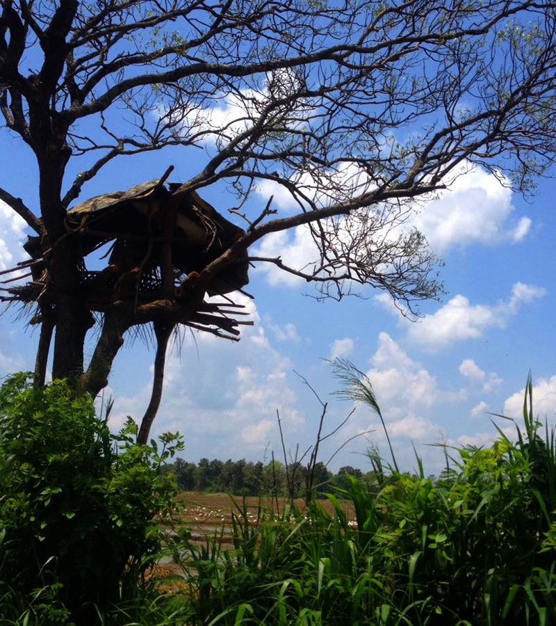 Cycling in Sigiriya, Cycling in Sri Lanka, Tours in Sri Lanka, Cycling Experience Sri Lanka, Cycle Tours Sri Lanka, Cycle Tours Sigiriya, Cycling Tour in Sri Lanka, Cycling Experience
