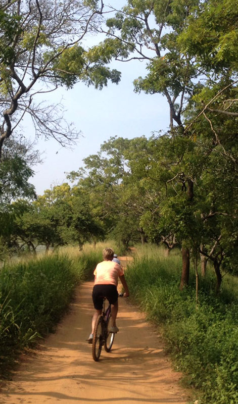 Cycling in Sigiriya, Cycling in Sri Lanka, Tours in Sri Lanka, Cycling Experience Sri Lanka, Cycle Tours Sri Lanka, Cycle Tours Sigiriya, Cycling Tour in Sri Lanka, Cycling Experience