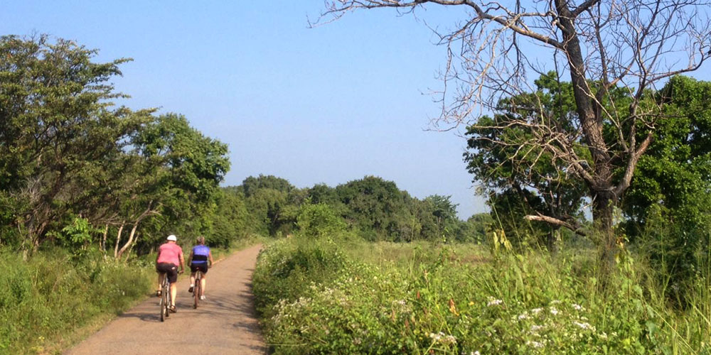 Cycling in Sigiriya, Cycling in Sri Lanka, Tours in Sri Lanka, Cycling Experience Sri Lanka, Cycle Tours Sri Lanka, Cycle Tours Sigiriya, Cycling Tour in Sri Lanka, Cycling Experience