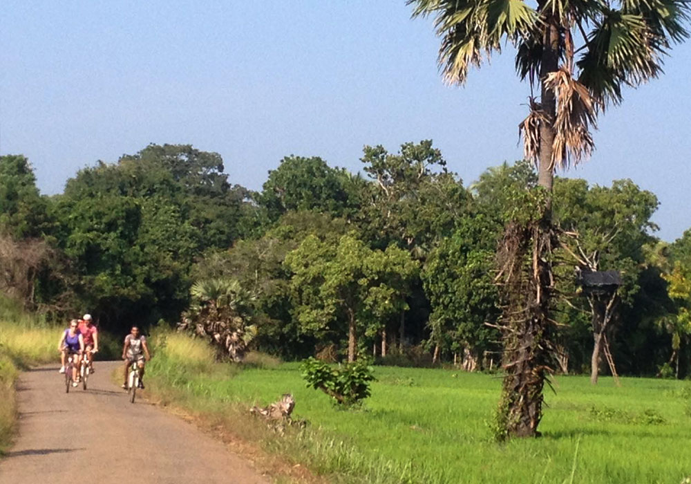 Cycling in Sigiriya, Cycling in Sri Lanka, Tours in Sri Lanka, Cycling Experience Sri Lanka, Cycle Tours Sri Lanka, Cycle Tours Sigiriya, Cycling Tour in Sri Lanka, Cycling Experience