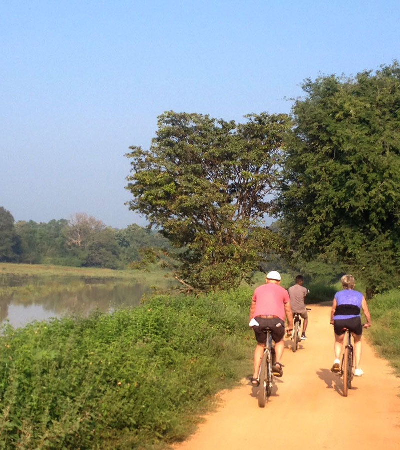 Cycling in Sigiriya, Cycling in Sri Lanka, Tours in Sri Lanka, Cycling Experience Sri Lanka, Cycle Tours Sri Lanka, Cycle Tours Sigiriya, Cycling Tour in Sri Lanka, Cycling Experience