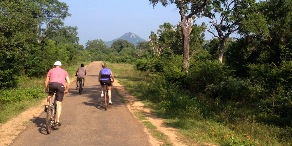 Cycling in Sigiriya, Cycling in Sri Lanka, Tours in Sri Lanka, Cycling Experience Sri Lanka, Cycle Tours Sri Lanka, Cycle Tours Sigiriya, Cycling Tour in Sri Lanka, Cycling Experience