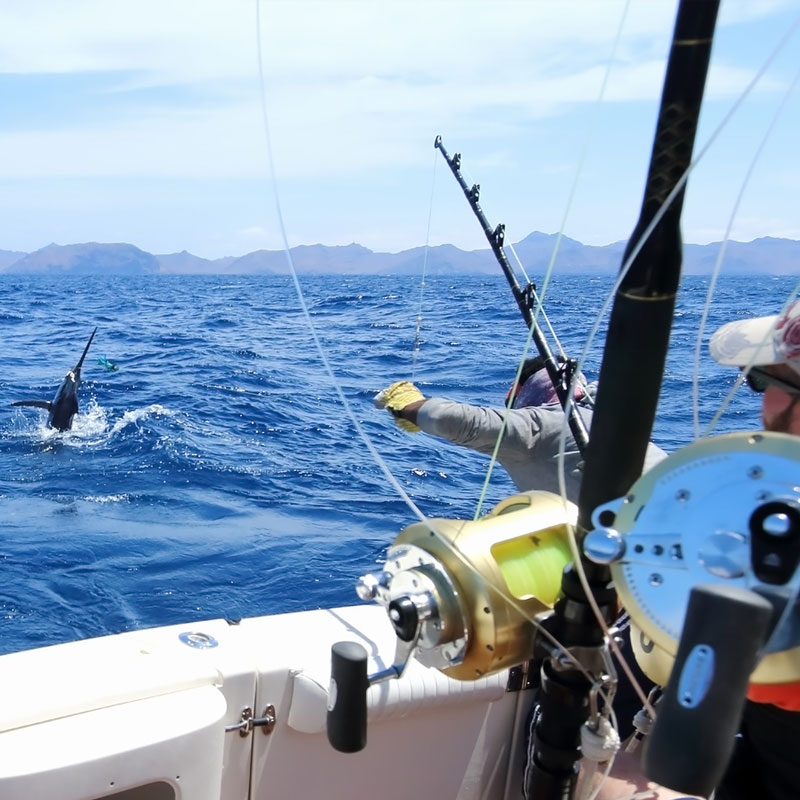Fishing Tours in Hikkaduwa Sri Lanka Deep Sea - Fising Tours in Sri Lanka - Fishing in Hikkaduwa - Deep Sea Fishing in Hikkaduwa - Fishing tours in sri lanka - Sri Lanka fishing