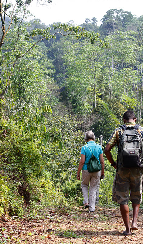 Trek through the country side and Trekking Trips in Sri Lanka - Trek through the Country Side  and scenic trekking tours in Sri Lanka - Trek through the Country Side  and trekking tours - Trekking Trips in bentota - Country Walk in Sri Lanka - Village Walk in Sri Lanka