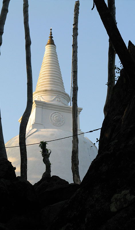 Trek through the country side and Trekking Trips in Sri Lanka - Trek through the Country Side  and scenic trekking tours in Sri Lanka - Trek through the Country Side  and trekking tours - Trekking Trips in bentota - Country Walk in Sri Lanka - Village Walk in Sri Lanka