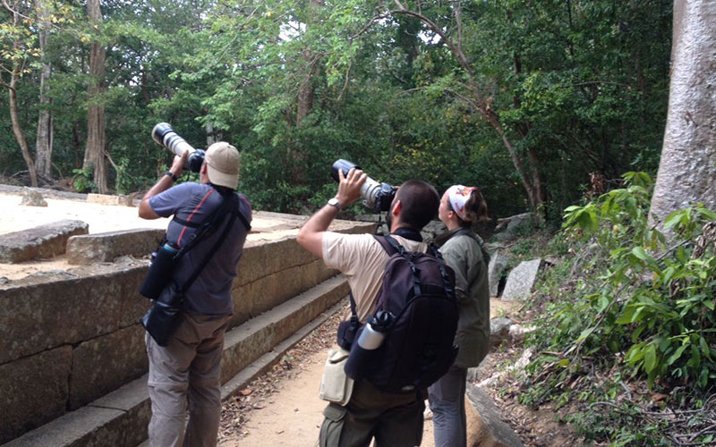 Jungle trekking Tours in Sigiriya, Sigiriya Jungle Tours, Trekking tours in Habarana, Sigiriya jungle trekking tours, Jungle trekking tours in Sri Lanka, Nature walks and nature trails in Sigiriya, Nature trails in Habarana