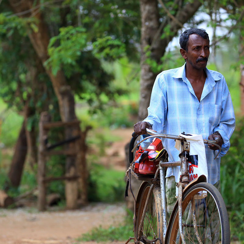 Village Tours in Sigiriya, Sigiriya and Habarana rural village walks, Village walks in Rural Villages, Village Tours in Sri Lanka, Walking tours in Sigiriya, Sigiriya Village Tours, Rural Village walking tours in Sigiriya and Habarana