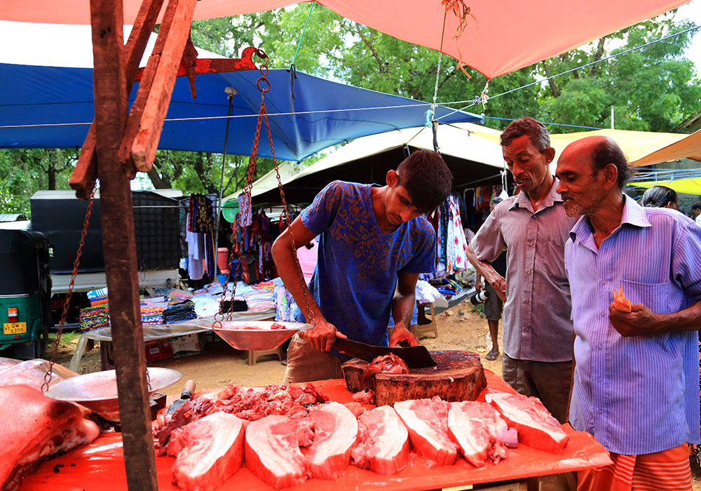 Village Tours in Sigiriya, Sigiriya and Habarana rural village walks, Village walks in Rural Villages, Village Tours in Sri Lanka, Walking tours in Sigiriya, Sigiriya Village Tours, Rural Village walking tours in Sigiriya and Habarana