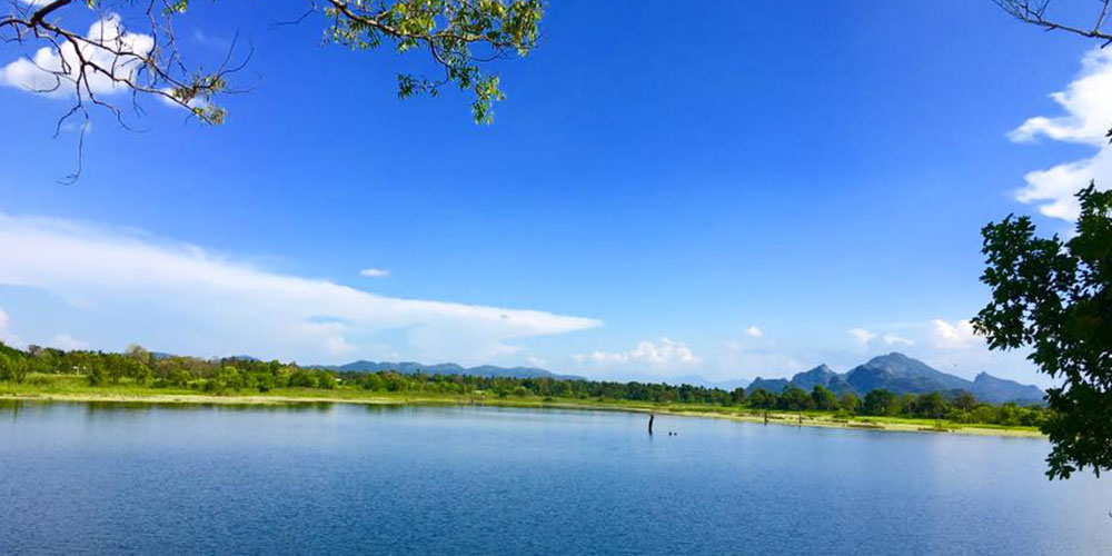 Village Tours in Sigiriya, Sigiriya and Habarana rural village walks, Village walks in Rural Villages, Village Tours in Sri Lanka, Walking tours in Sigiriya, Sigiriya Village Tours, Rural Village walking tours in Sigiriya and Habarana