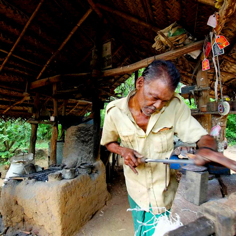Village Tours in Sigiriya, Sigiriya and Habarana rural village walks, Village walks in Rural Villages, Village Tours in Sri Lanka, Walking tours in Sigiriya, Sigiriya Village Tours, Rural Village walking tours in Sigiriya and Habarana