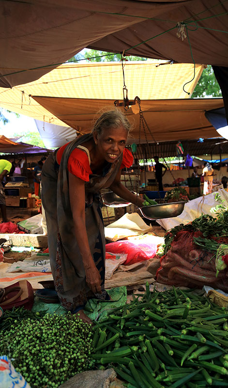 Village Tours in Sigiriya, Sigiriya and Habarana rural village walks, Village walks in Rural Villages, Village Tours in Sri Lanka, Walking tours in Sigiriya, Sigiriya Village Tours, Rural Village walking tours in Sigiriya and Habarana