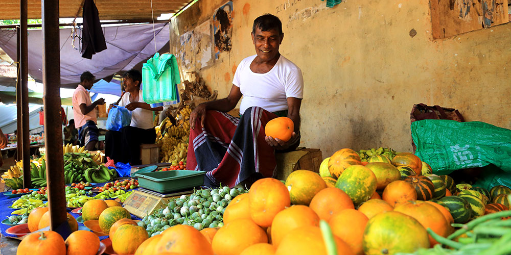 Village Tours in Sigiriya, Sigiriya and Habarana rural village walks, Village walks in Rural Villages, Village Tours in Sri Lanka, Walking tours in Sigiriya, Sigiriya Village Tours, Rural Village walking tours in Sigiriya and Habarana