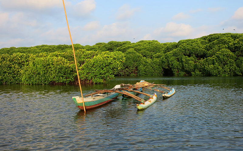 Hamilton Canal Boat Tours - Hamilton Canal Boat Tours - Maha oya Boat Tour in Negombo - Boat Tours in Negombo, Sri Lanka - Negombo Lagoon Boat Tours - Boat trips in negombo, Sri Lanka