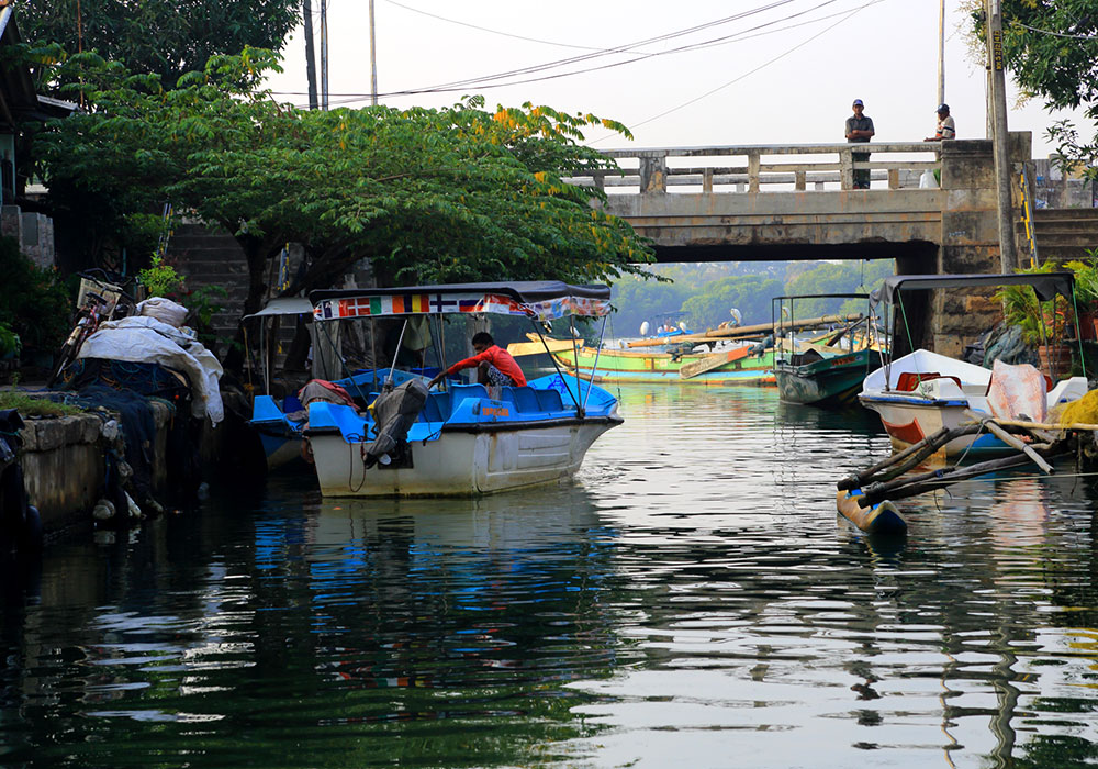 Hamilton Canal Boat Tours - Hamilton Canal Boat Tours - Maha oya Boat Tour in Negombo - Boat Tours in Negombo, Sri Lanka - Negombo Lagoon Boat Tours - Boat trips in negombo, Sri Lanka