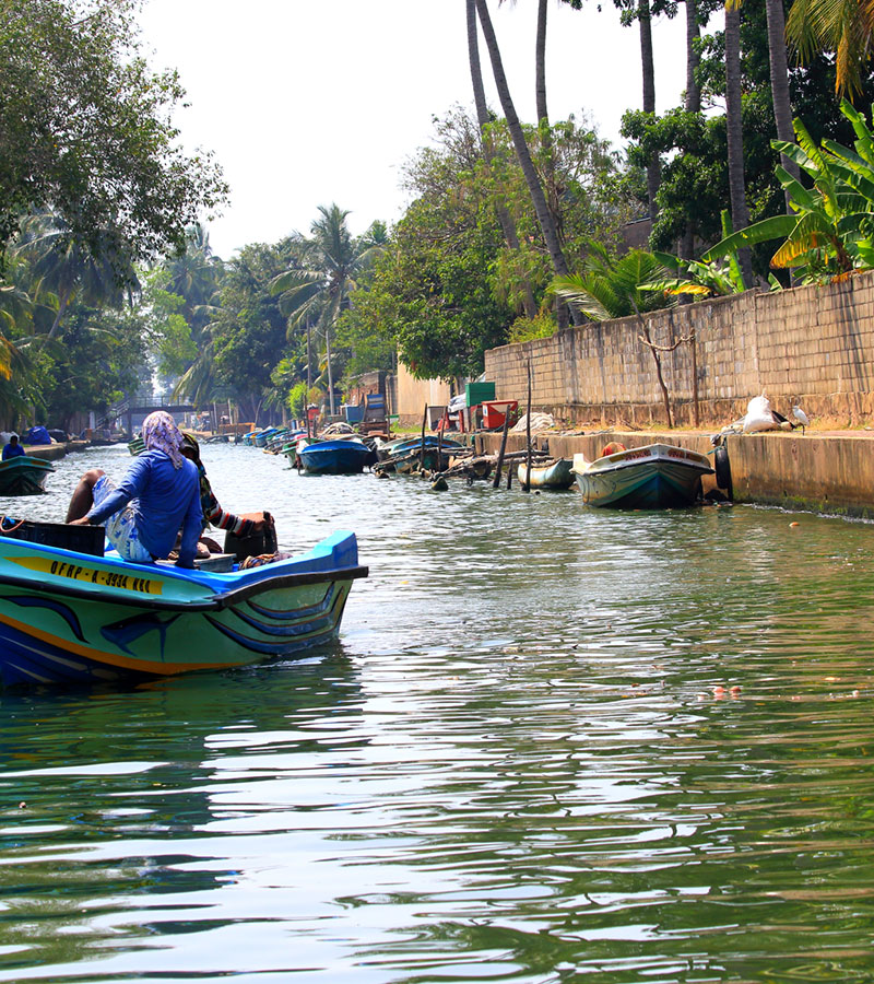 Hamilton Canal Boat Tours - Hamilton Canal Boat Tours - Maha oya Boat Tour in Negombo - Boat Tours in Negombo, Sri Lanka - Negombo Lagoon Boat Tours - Boat trips in negombo, Sri Lanka