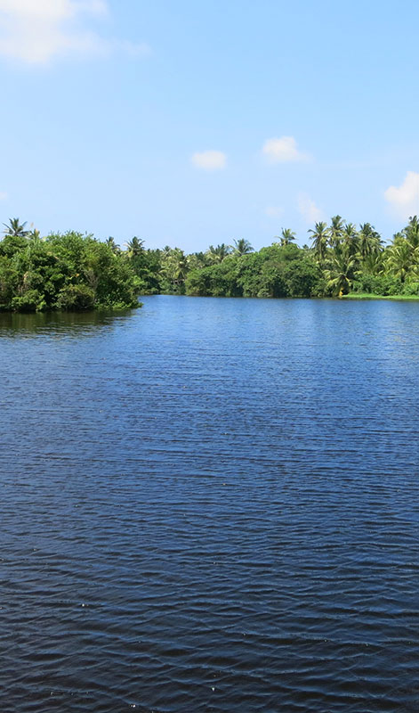Hamilton Canal Boat Tours - Hamilton Canal Boat Tours - Maha oya Boat Tour in Negombo - Boat Tours in Negombo, Sri Lanka - Negombo Lagoon Boat Tours - Boat trips in negombo, Sri Lanka