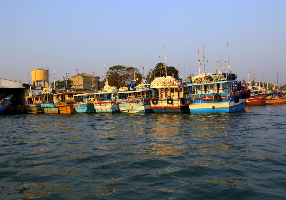 Hamilton Canal Boat Tours - Hamilton Canal Boat Tours - Maha oya Boat Tour in Negombo - Boat Tours in Negombo, Sri Lanka - Negombo Lagoon Boat Tours - Boat trips in negombo, Sri Lanka