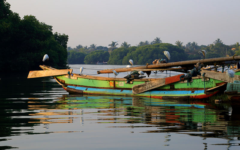Hamilton Canal Boat Tours - Hamilton Canal Boat Tours - Maha oya Boat Tour in Negombo - Boat Tours in Negombo, Sri Lanka - Negombo Lagoon Boat Tours - Boat trips in negombo, Sri Lanka