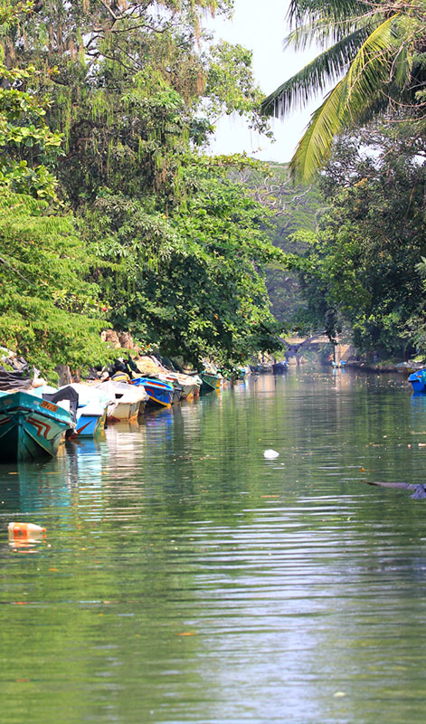 Hamilton Canal Boat Tours - Hamilton Canal Boat Tours - Maha oya Boat Tour in Negombo - Boat Tours in Negombo, Sri Lanka - Negombo Lagoon Boat Tours - Boat trips in negombo, Sri Lanka
