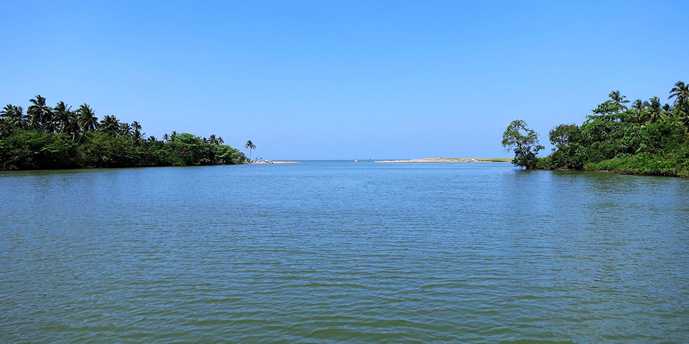 Hamilton Canal Boat Tours - Hamilton Canal Boat Tours - Maha oya Boat Tour in Negombo - Boat Tours in Negombo, Sri Lanka - Negombo Lagoon Boat Tours - Boat trips in negombo, Sri Lanka