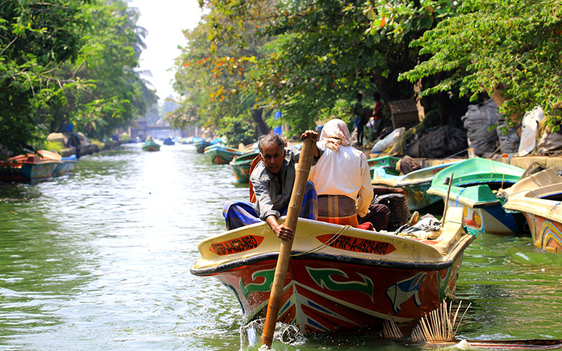 Negombo Lagoon Boat Tour, Sri lanka Boat tours, Negombo lagoon boat tours in Sri Lanka, River cruises in Negombo Sri Lanka, River activities in Negombo, Morning Lagoon Boat Tour